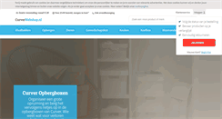 Desktop Screenshot of curverwebshop.nl